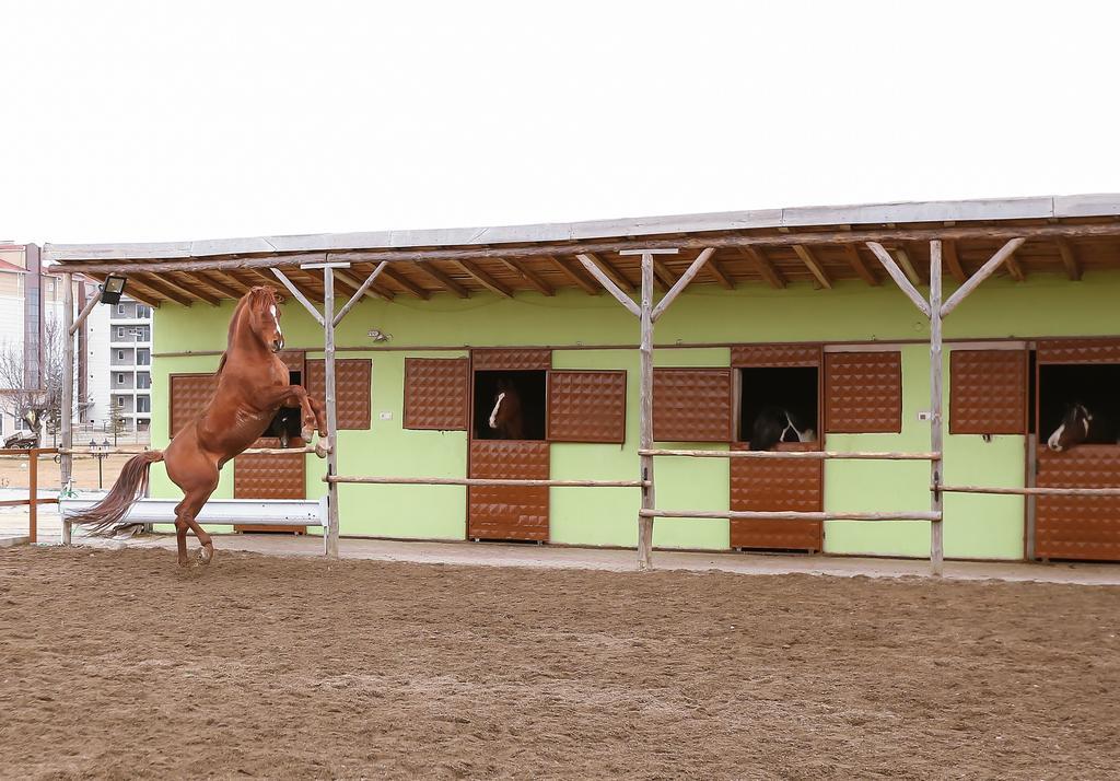 Afyon Can Termal Apart Afyonkarahisar Exterior foto